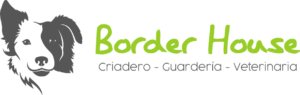 border-logo