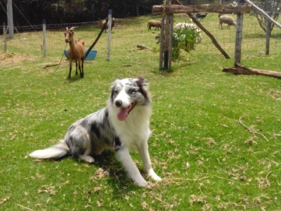 BorderHouse BorderHouse