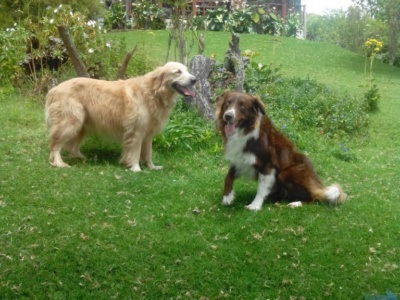 BorderHouse3 BorderHouse3