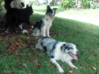 BorderHouse4 BorderHouse4